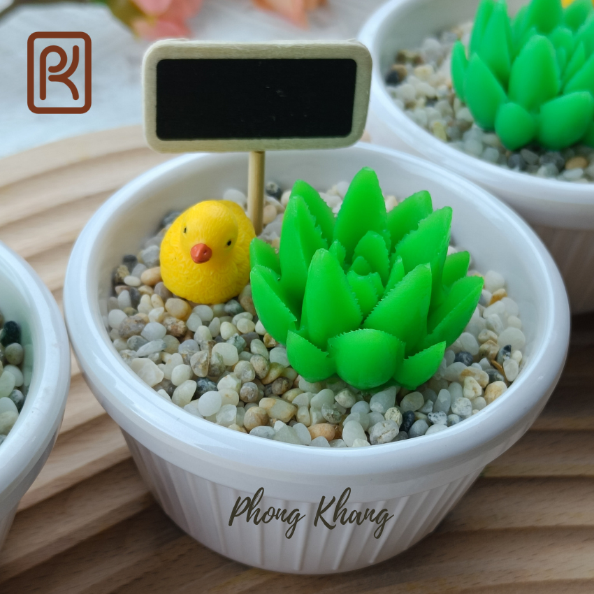 Khuôn silicon 4d Phong Khang làm rau câu sen đá