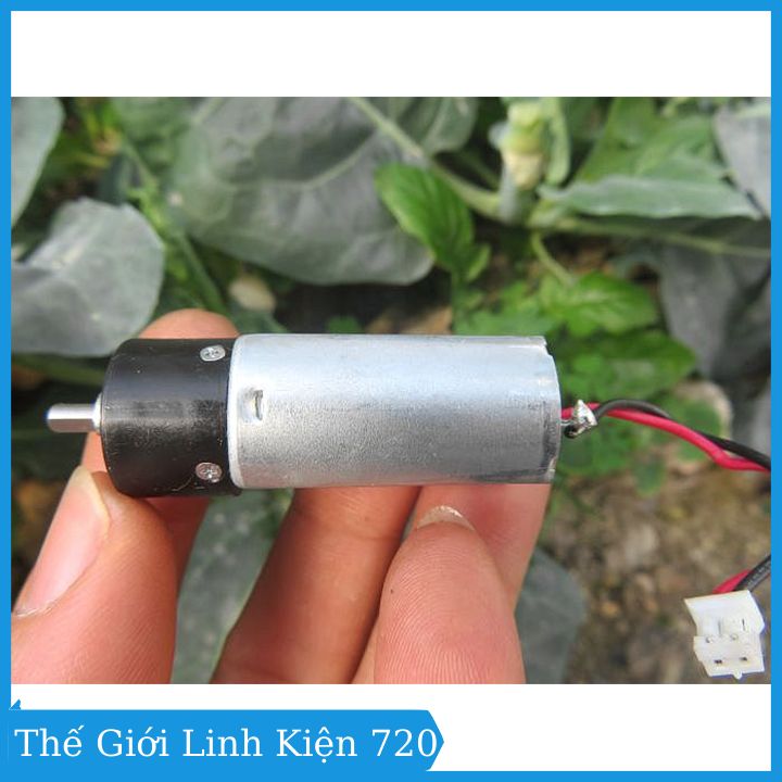 Động cơ giảm tốc 180 3V tốc độ motor 1350 vòng/phút