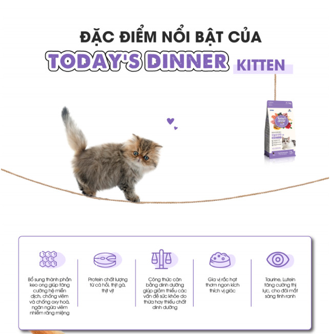 [1KG] Thức ăn hạt  Today's dinner Kitten dành cho mèo nhỏ