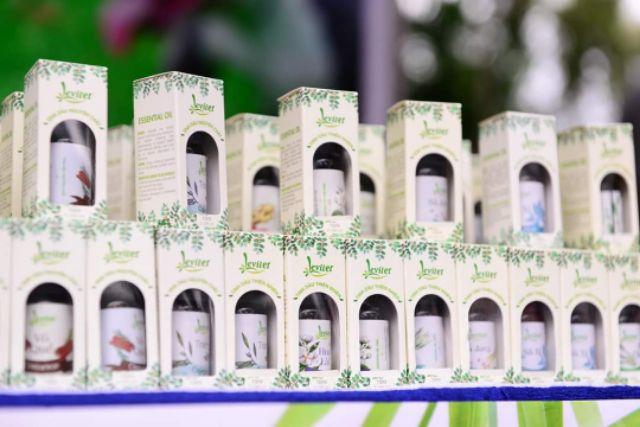 Leviter - Tinh dầu Đinh hương 10ml