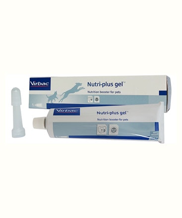 GEL DINH DƯỠNG CHO CHÓ MÈO