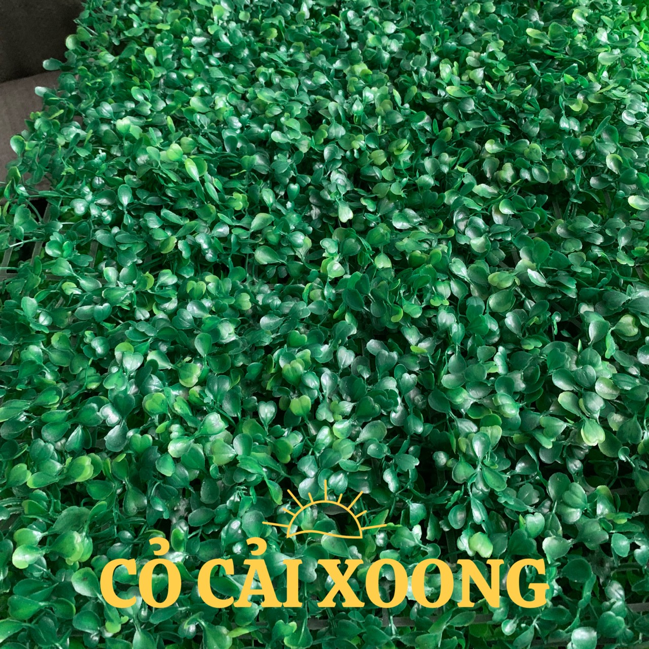 COMBO 30 TẤM CỎ CẢI XOONG TRANG TRÍ TƯỜNG