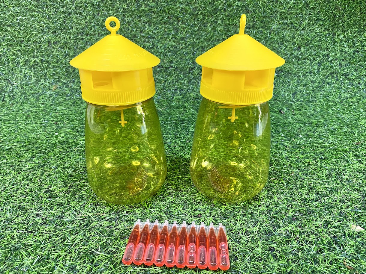 Bộ lồng bẫy ruồi vàng kèm chất dẫn dụ ruồi