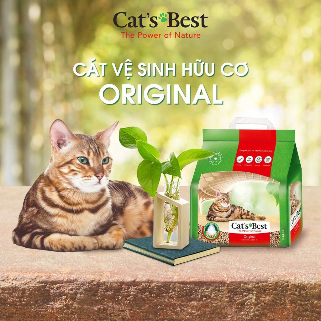 Cát Gỗ Cho Mèo Cat's Best  Siêu Thấm Hút & Kháng Khuẩn