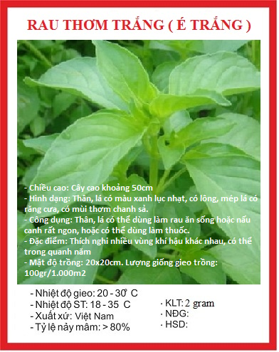Hạt giống rau húng thơm - Rau thơm sả - Gói 2gram