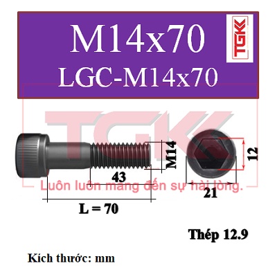 Bulong lgc đầu trụ m14