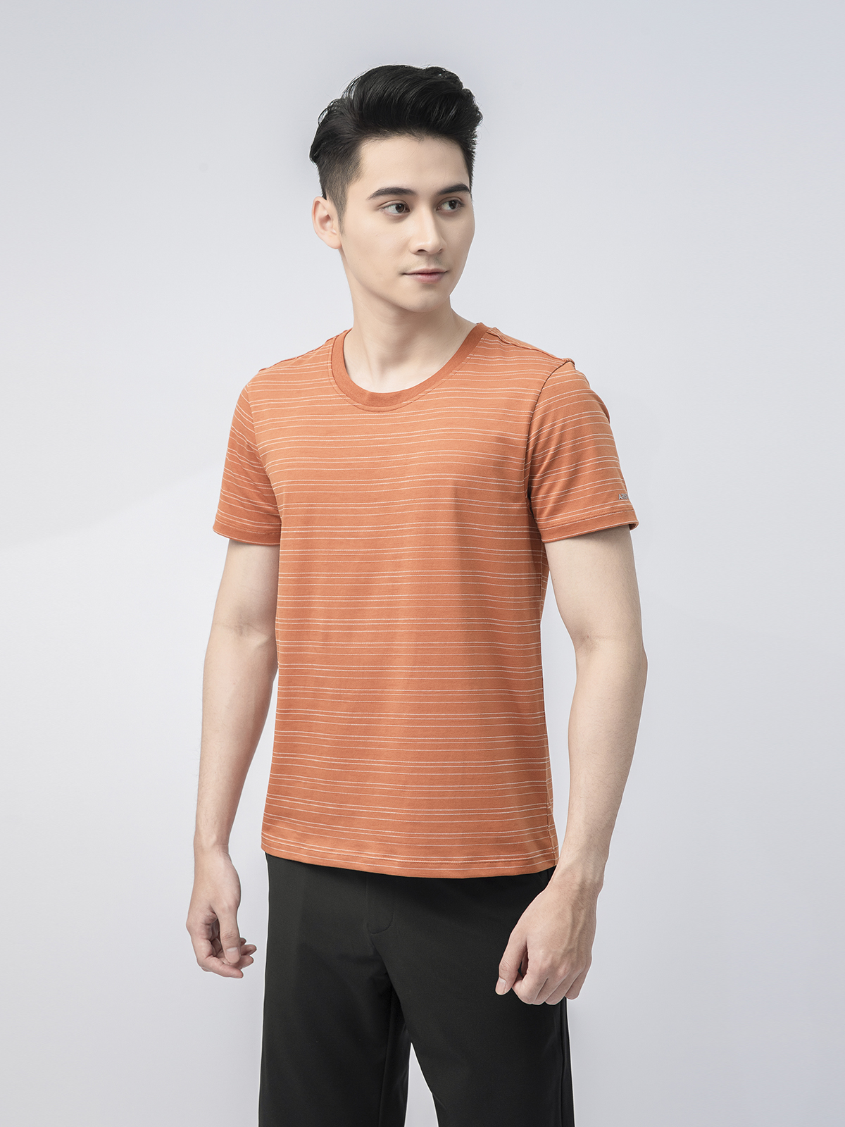 Aristino áo thun nam font regular fit hoạt tiết kẻ logo in tay áo ATS017S1 Habi88