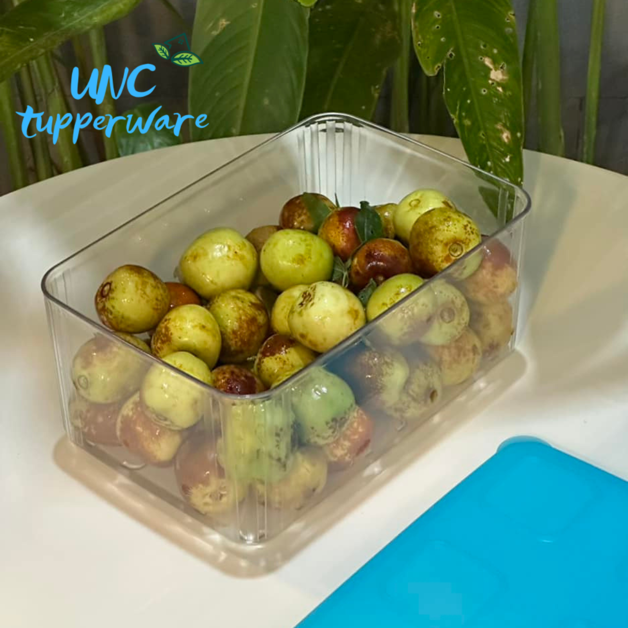Bộ hộp trữ mát Tupperware Fresh Clear Set 5