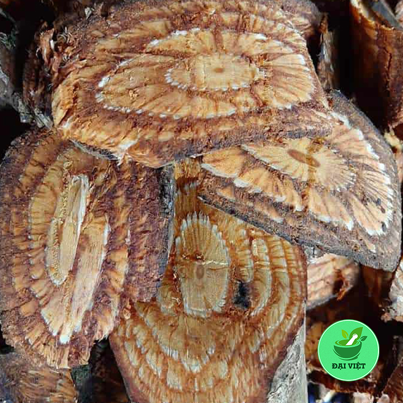 Dây gắm (gói 1kg) - DV109