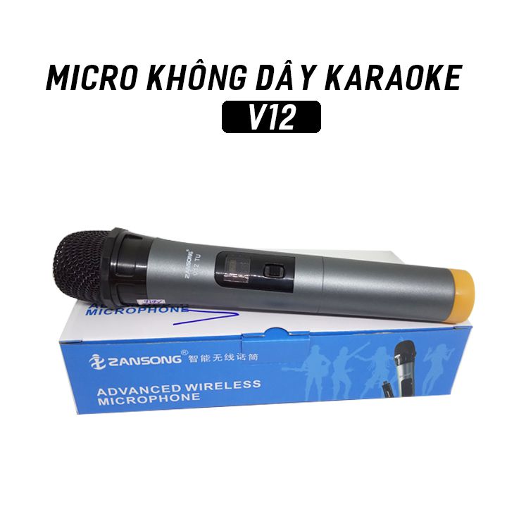 Micro không dây V12