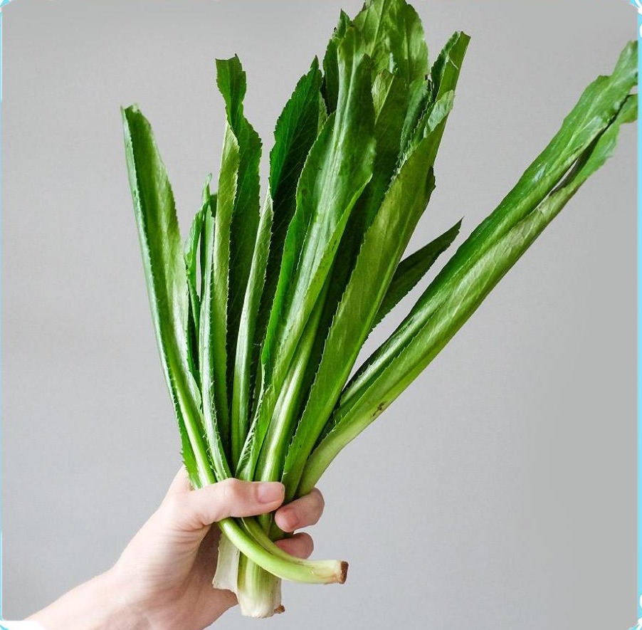 Hạt Giống Rau Ngò Gai Thơm Ngon