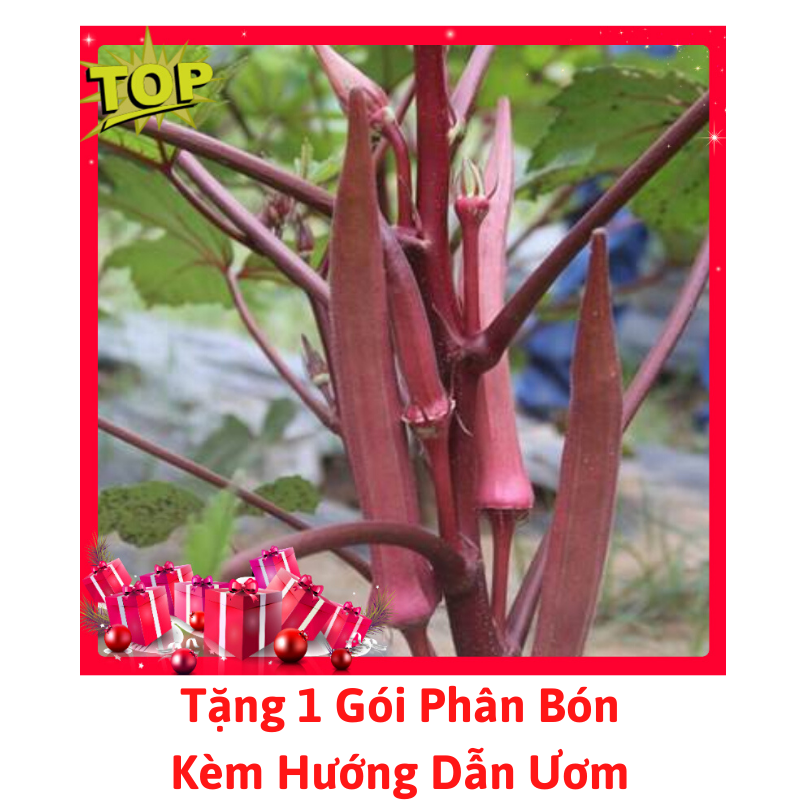 [Lấy mã giảm thêm 30%] Gói Hạt Giống Đậu Bắp Đỏ