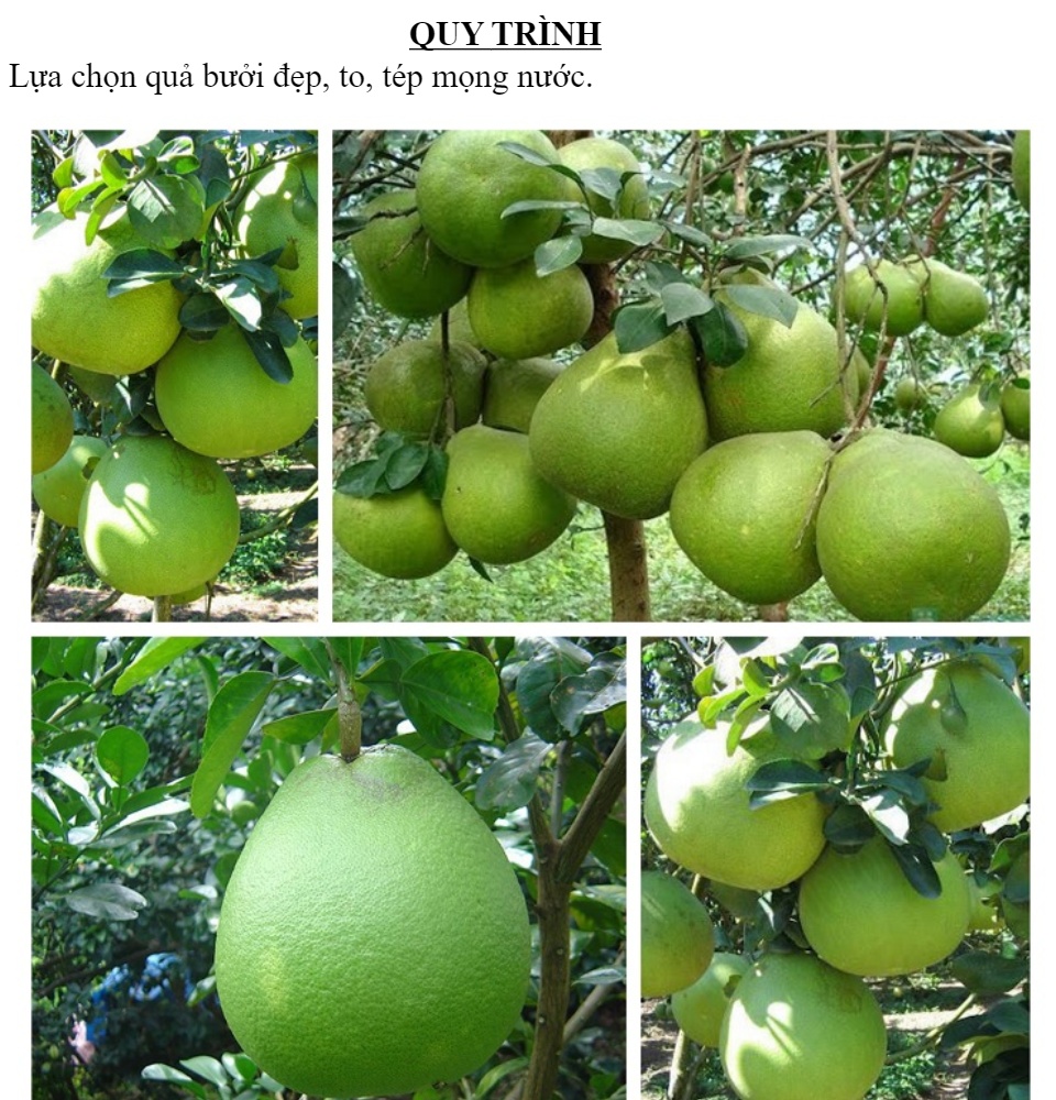 Bưởi thái lát sấy lạnh 500 gram