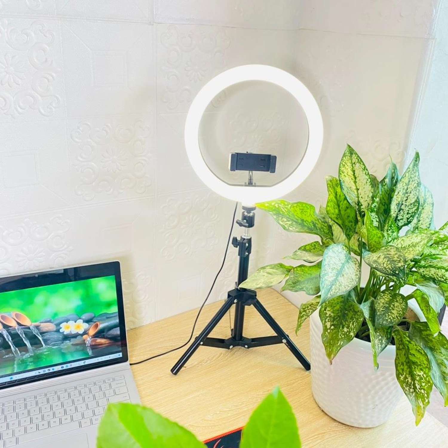 BỘ ĐÈN LIVESTREAM 30CM + CHÂN 2M