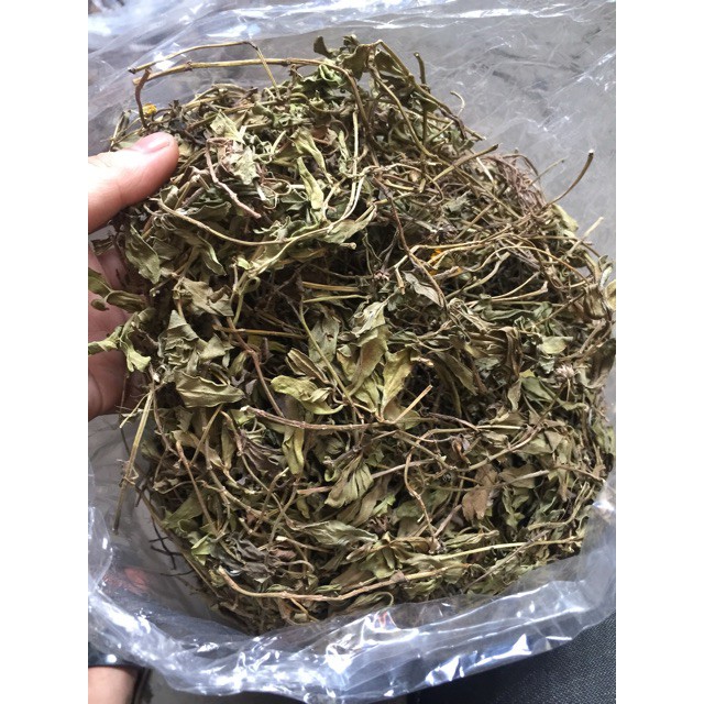 Cây Sài Đất khô 500g GT307