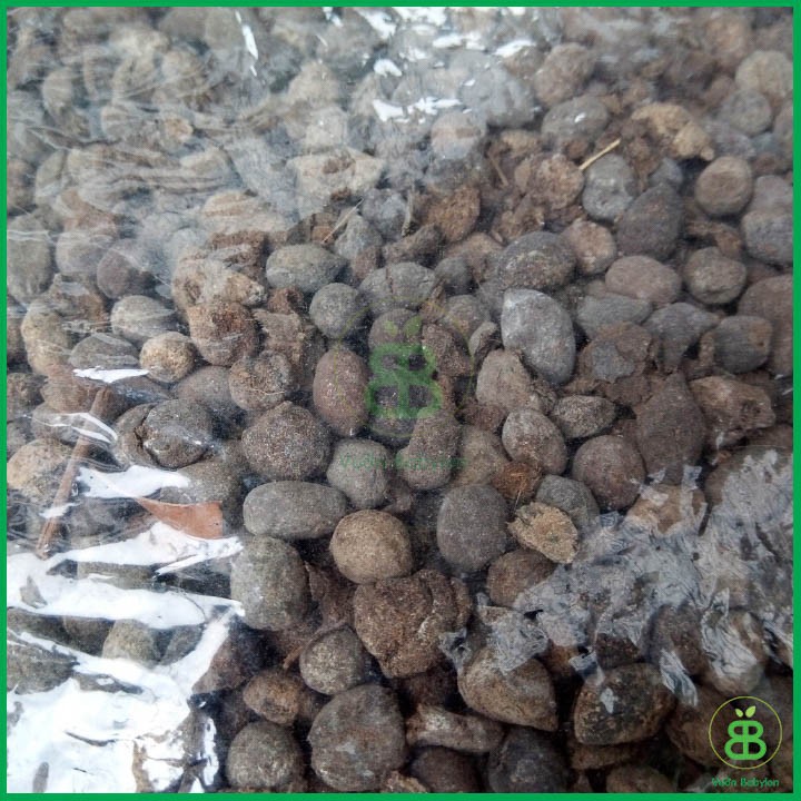 Phân Thỏ Đã Xử Lý Làm Phân Bón Lan Và Phân Bón Cây Trồng( 1kg)