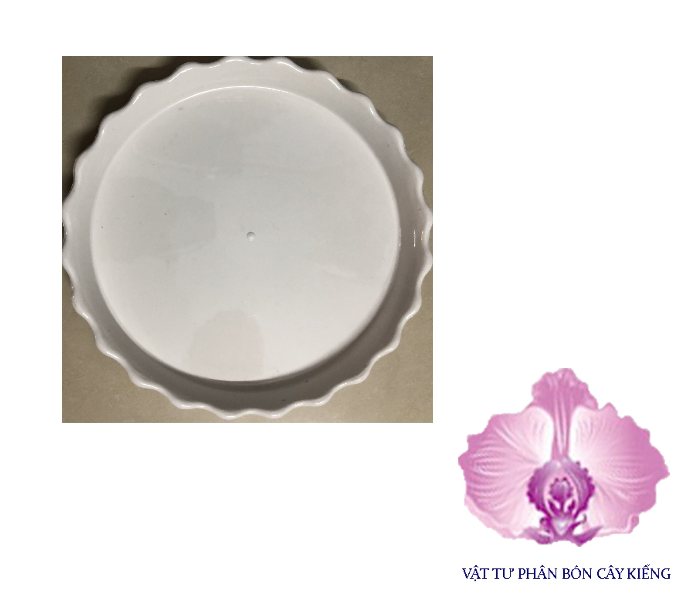 Đĩa lót chậu tròn khía 8,5cm - #046D#