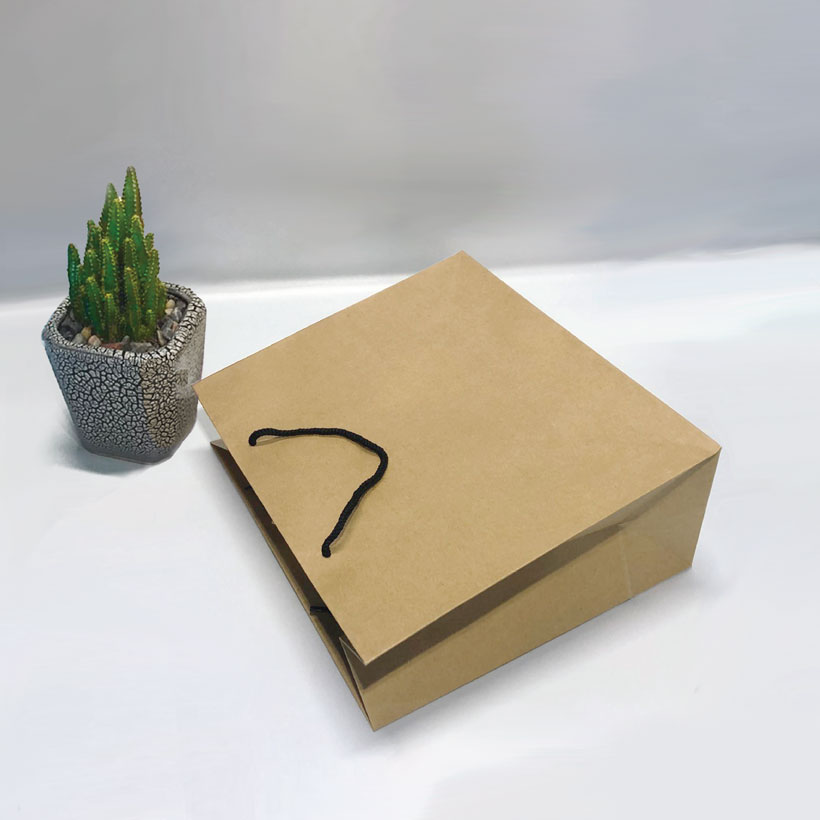 Combo 10 Túi Giấy Kraft trơn KT08 (26 x 30 x 12)
