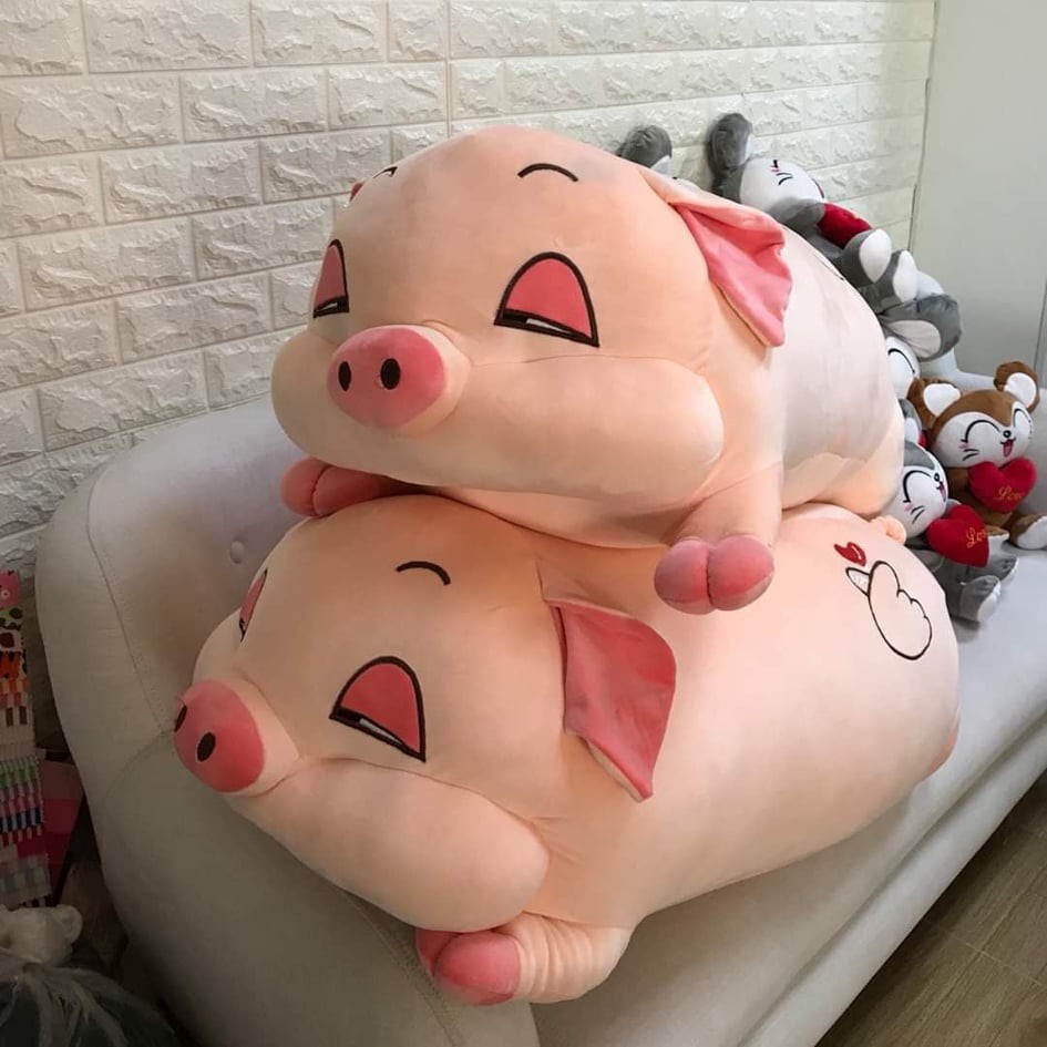 Gâu Bông Heo Mắt Híp