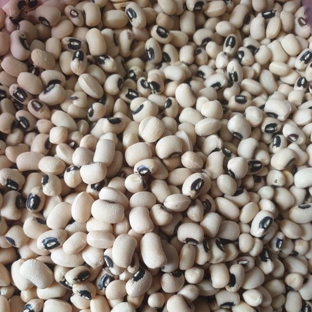 1kg đậu bi trắng nấu chè