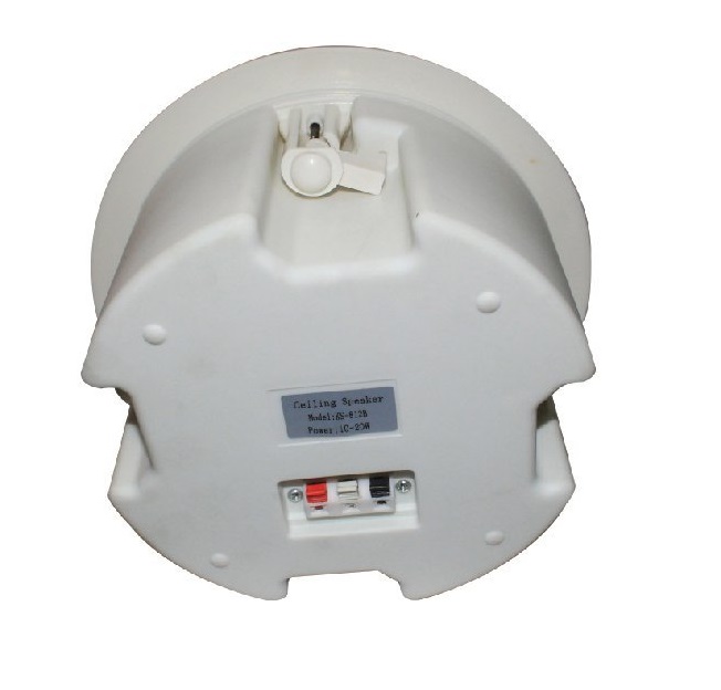 Loa âm tường - âm trần KS-812B (1 loa)