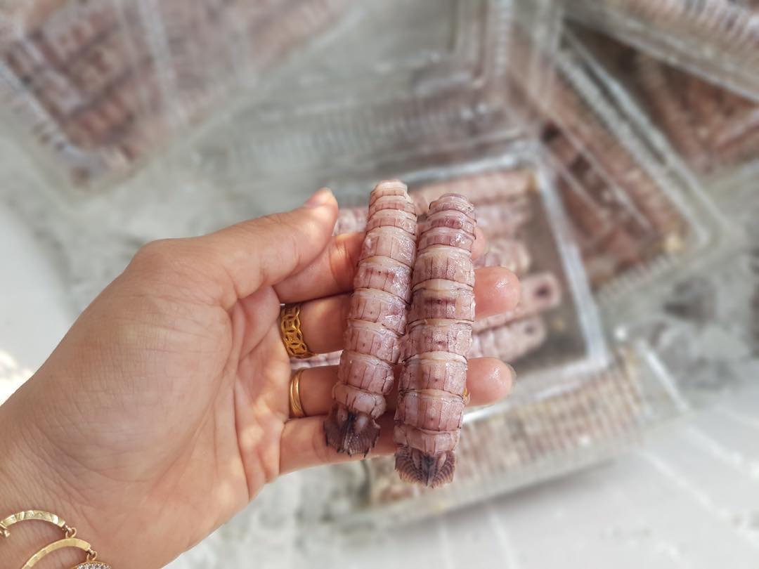 [GIAO NHANH 2H HCM] Giá Sỉ 1Kg Tôm Tít Thịt Size Nhỏ