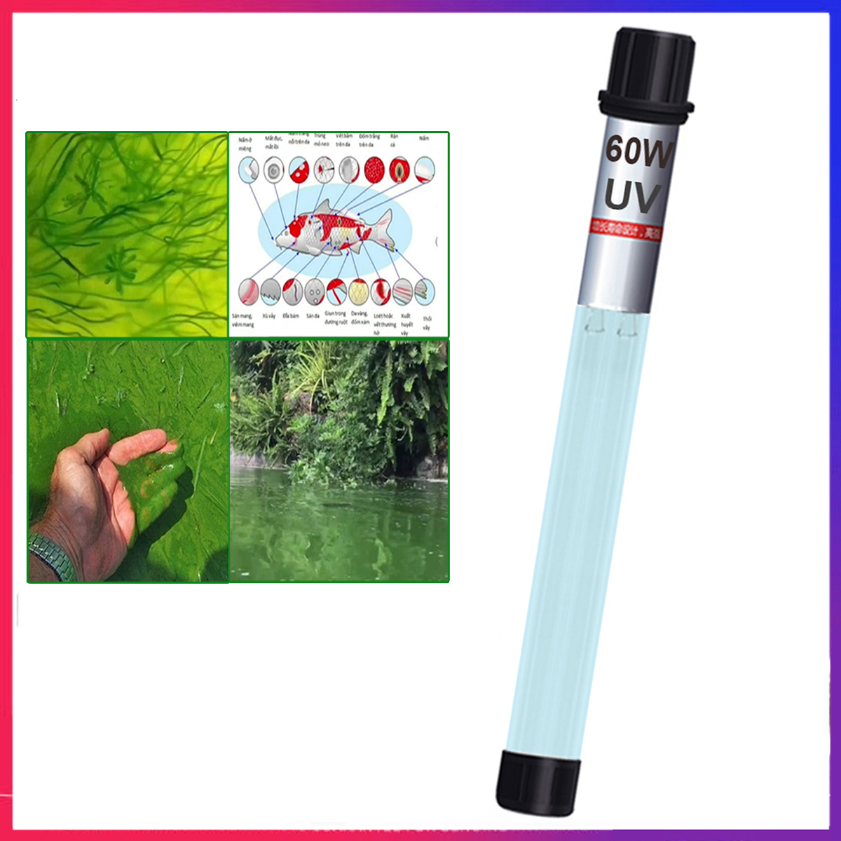 UV King Sterilization Lights Advanced Germicidal (60W) - European Standard - For Aquariums