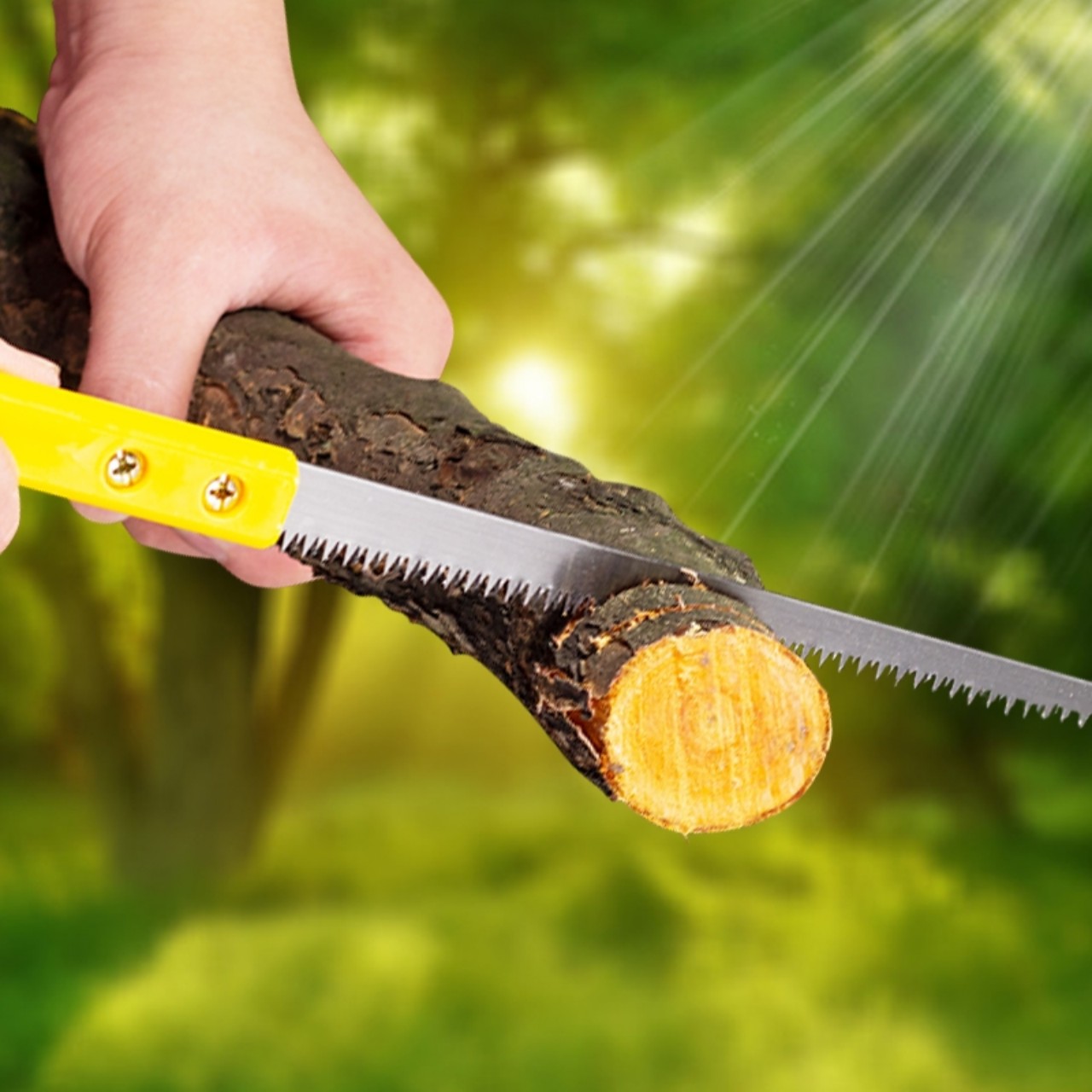 CƯA THẠCH CAO  .CƯA CÂY CẢNH