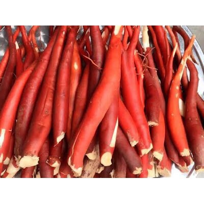 1Kg  Sâm Cau Đỏ rừng Tây Bắc Đẹp Thái Lát ( Khô , Thơm)