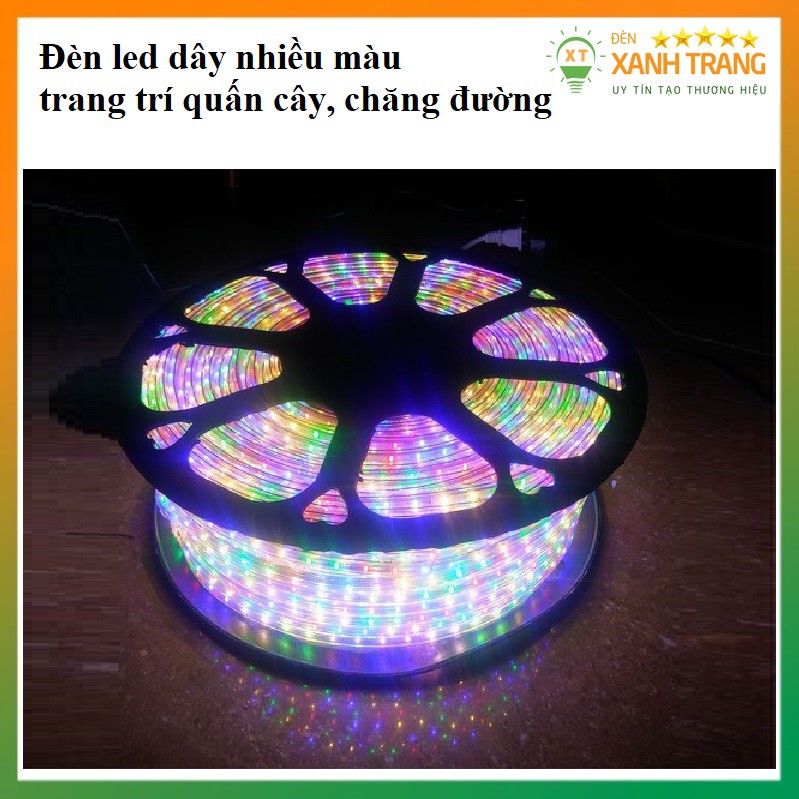 COMBO 10M Dây Đèn Led Nhấp Nháy Nhiều Màu Trang Trí Cuốn Cây, Ngoài Đường, Ngoài Trời (TẶNG NGUỒN)