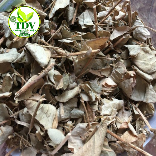 1kg Kim tiền thảo (xanh sạch mới)
