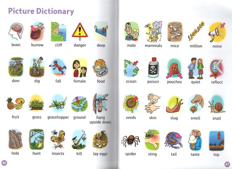 Oxford read and discover/ Image level 4 (20 cuốn)