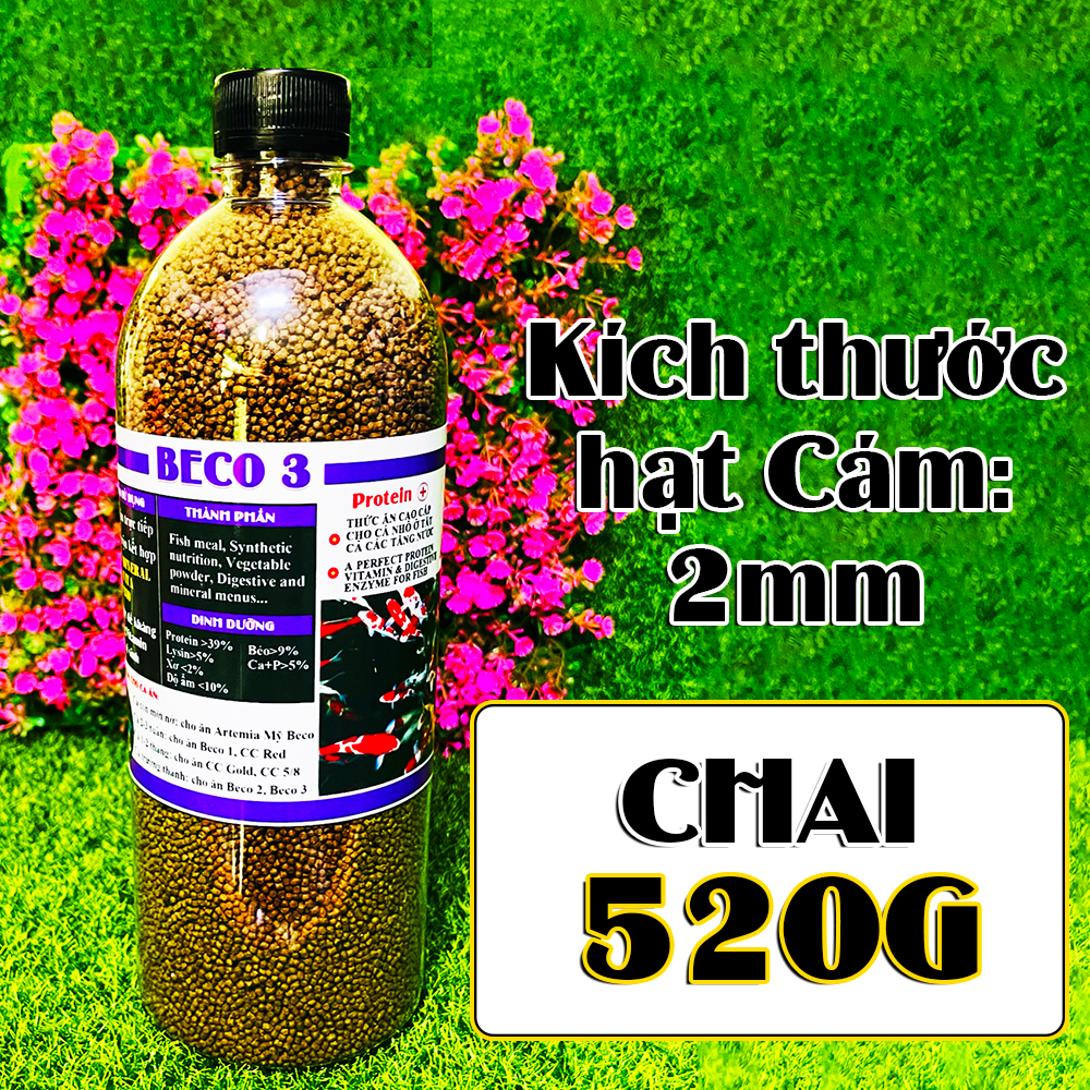 Cám Beco 3 - Thức ăn cá ba đuôi chép vàng ranchu