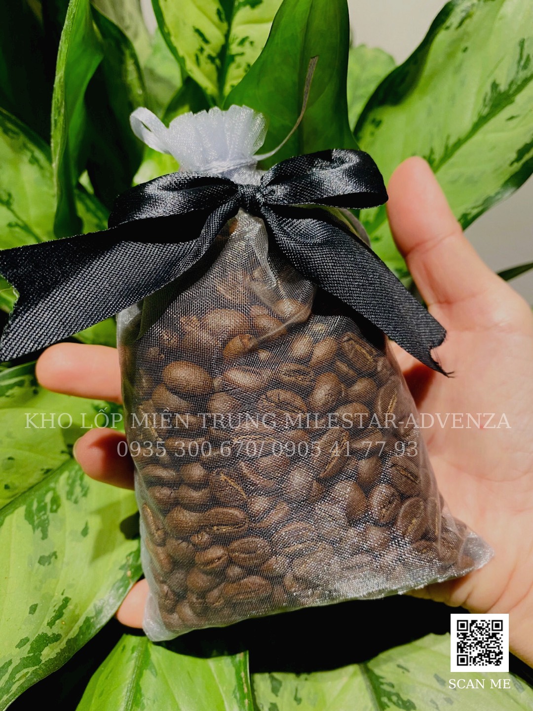 TÚI THƠM HẠT CÀ PHÊ ROBUSTA TREO XE 100G