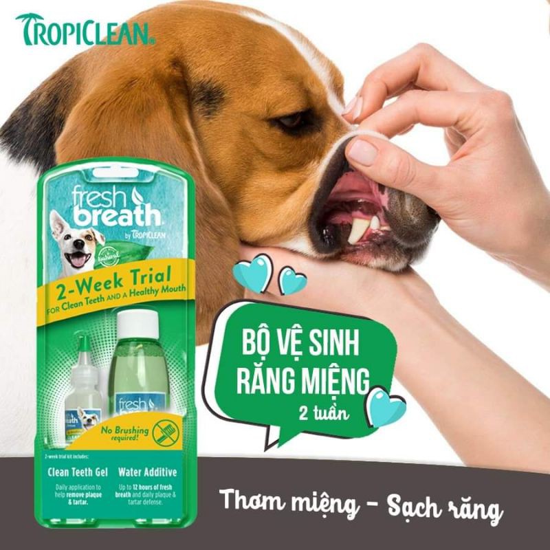 Mini kit vệ sinh răng miệng cho thú cưng
