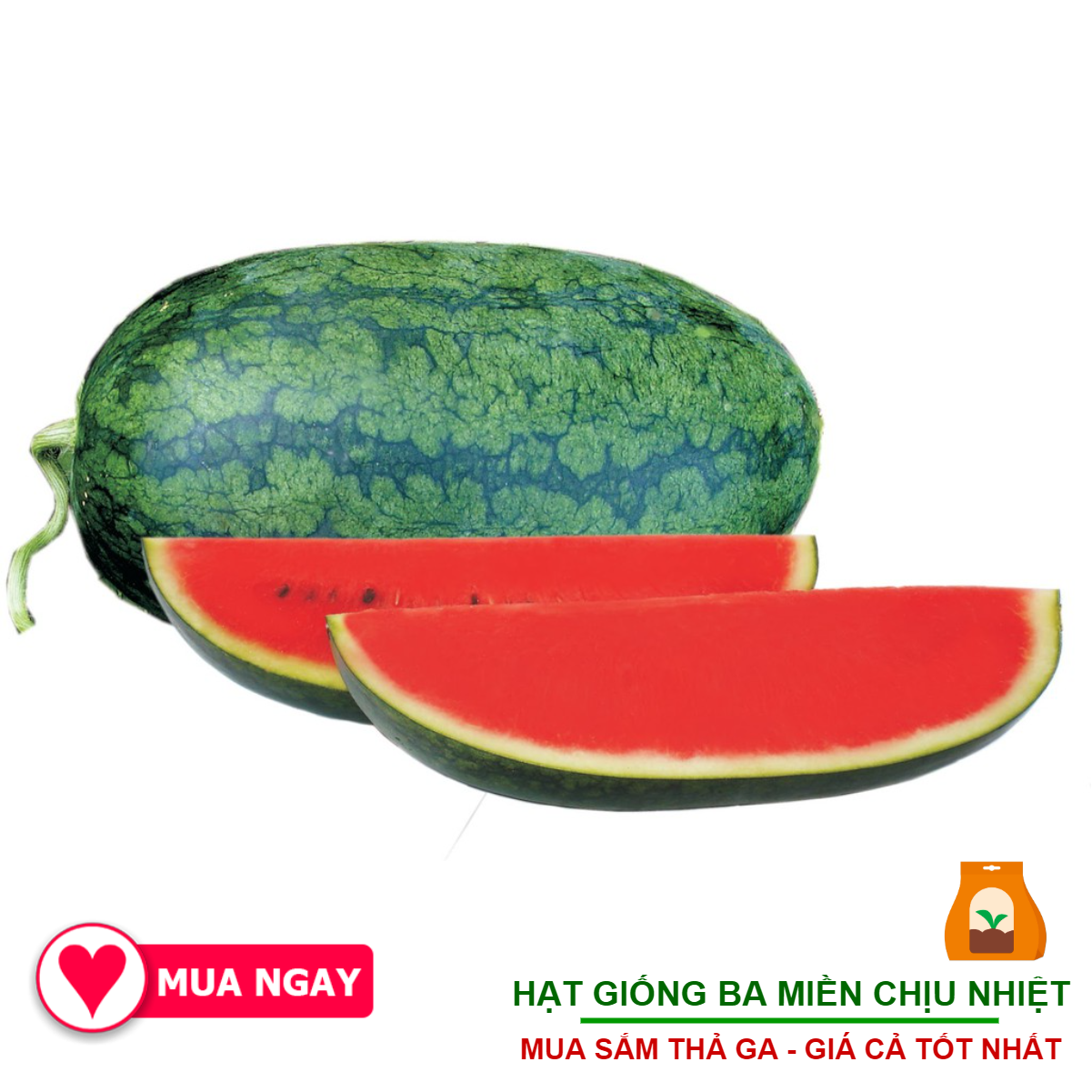 Hạt Giống Dưa Hấu F1 Năng Suất Cao 2 Gram