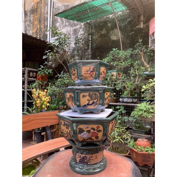 Chậu lục giác trồng cây bon sai- ( có hỗ trợ vc cho khách => nhắn tin cho shop )