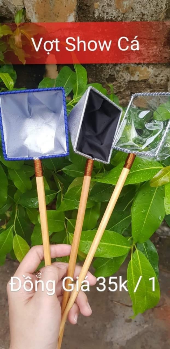 Vợt Nước vớt cá Betta - Guppy - Show cá