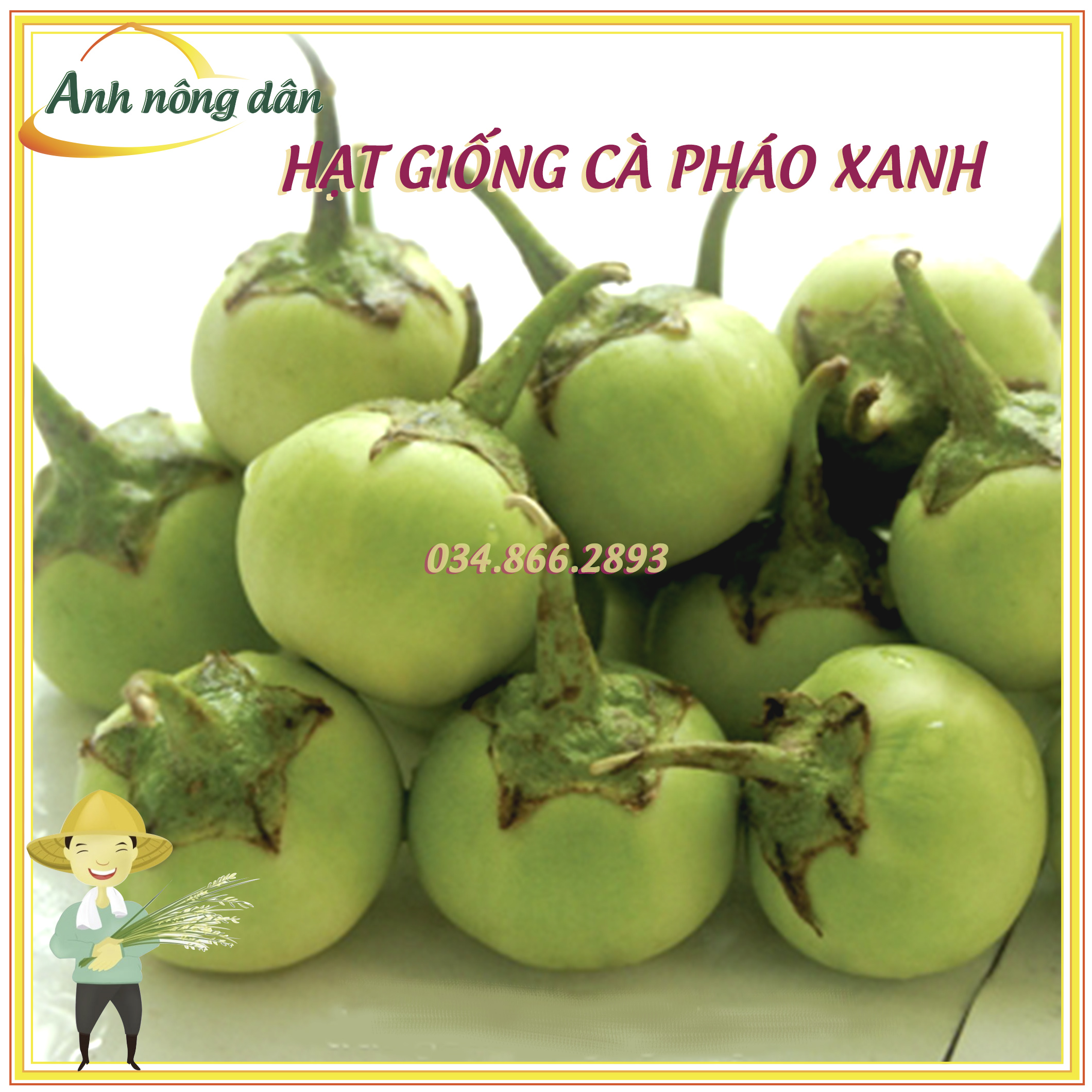 Gói 2g Hạt giống cà pháo xanh cao sản F1