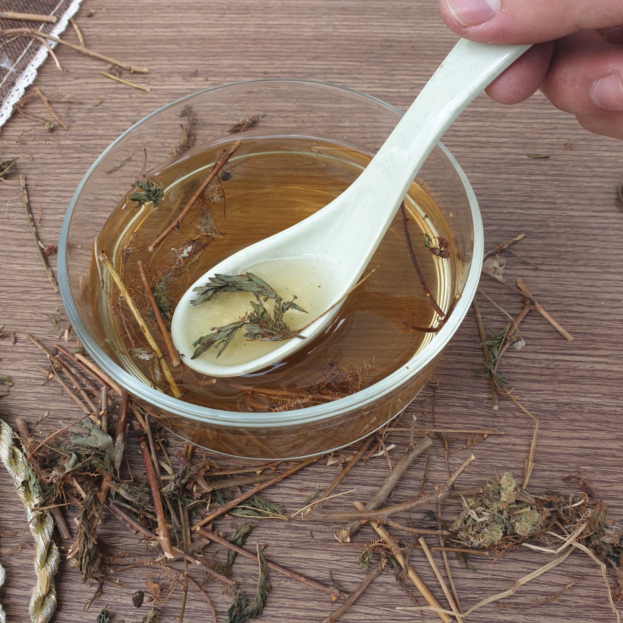 Cây xấu hổ ( mắc cỡ ) khô 200g - Dược Tấn Phát
