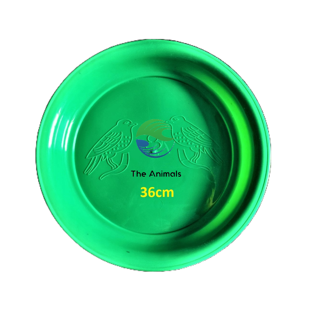 khay Hứng Phân Cho Lồng Chim (36cm)