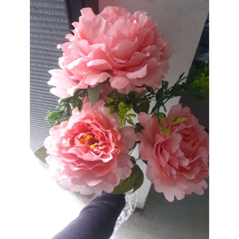 Hoa Mẫu Đơn Cụm 7 Bông