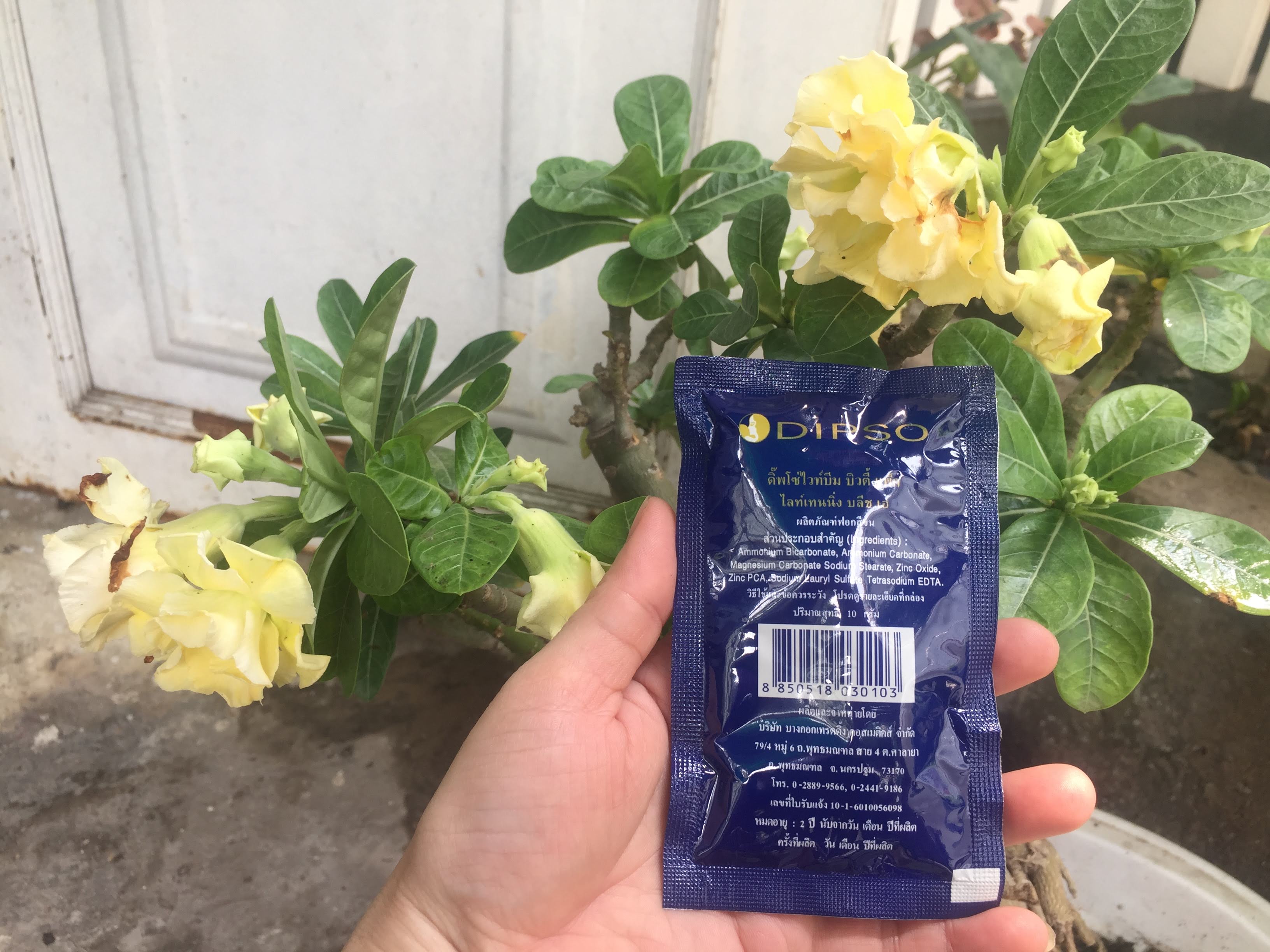 Sét tắm trắng da từ thiên nhiên DIPSO Thái Lan 90 ml