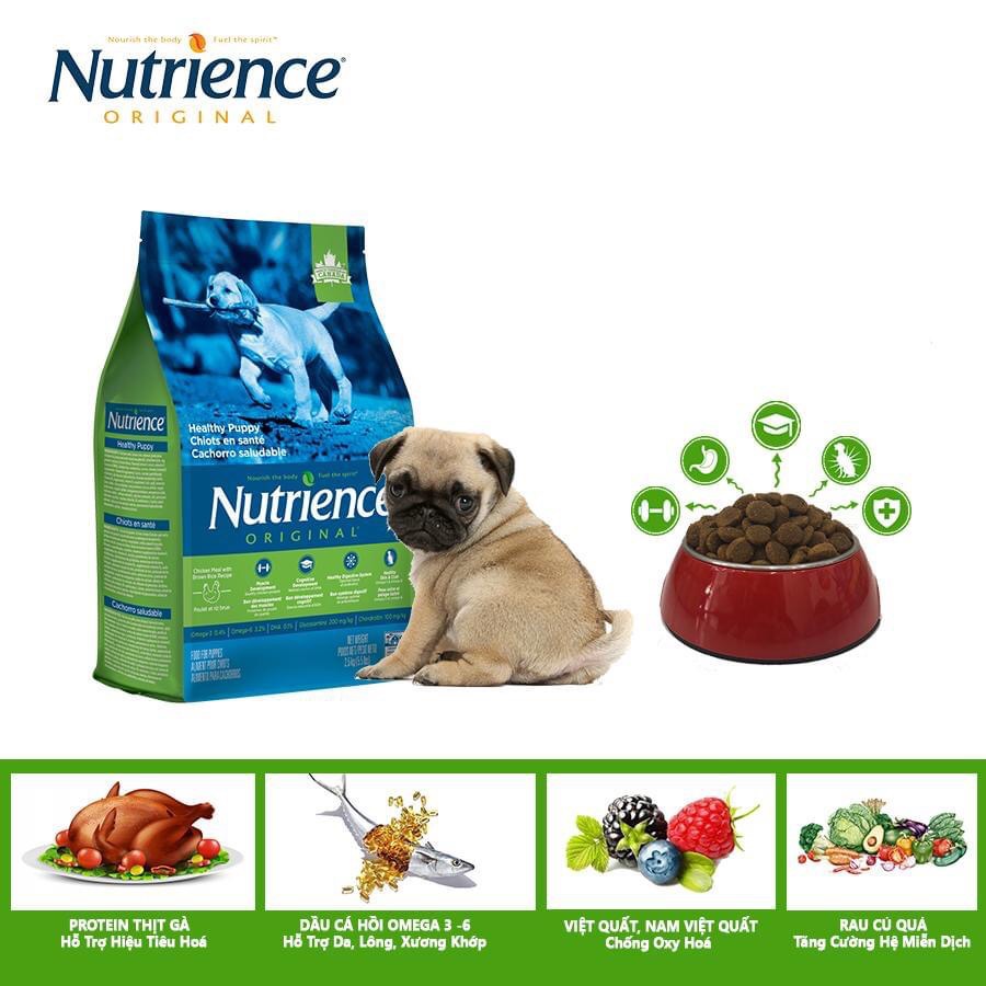 [HCM]NUTRIENCE CHO CÚN CON bao 500g