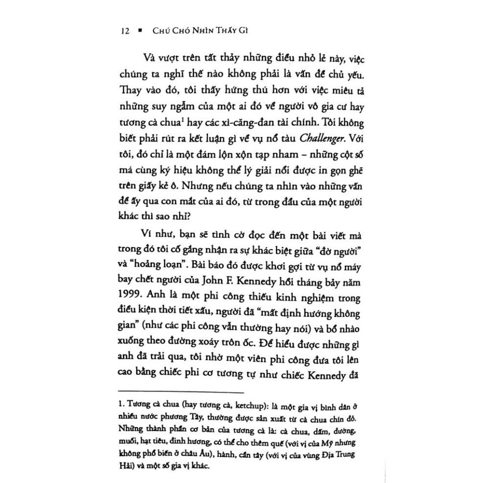 Sách - Chú Chó Nhìn Thấy Gì? [Alphabooks]