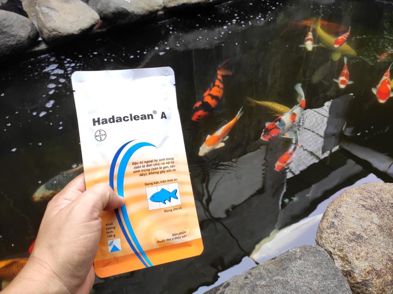 combo hadaclean A v Virkon A