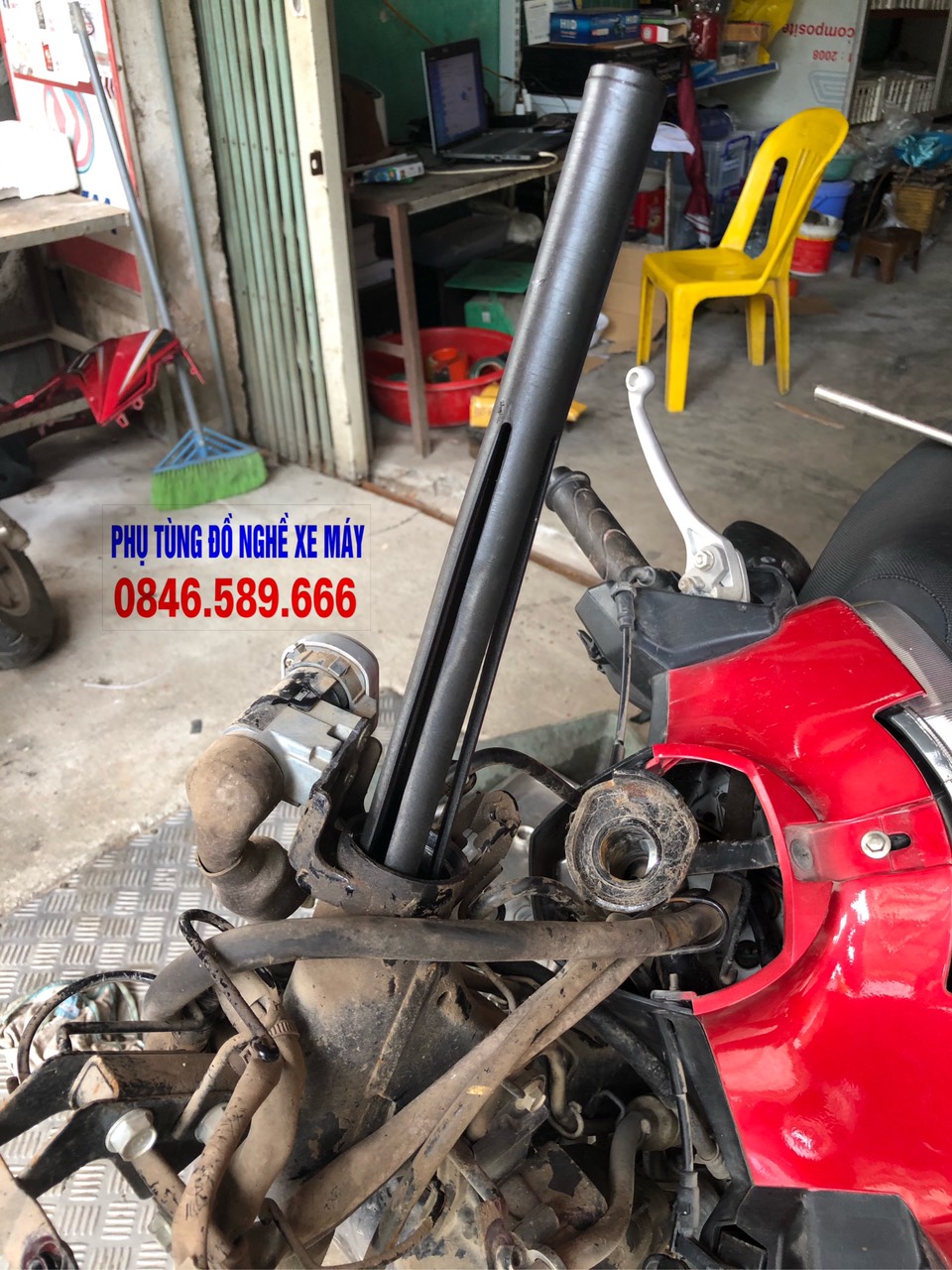 cây đóng ra bát phốt chén cổ