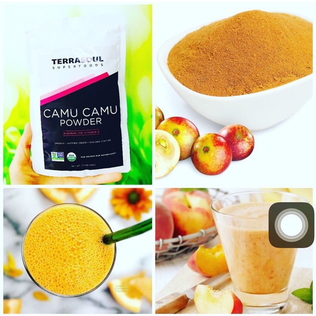 Bột Camu Camu Hữu Cơ Terrasoul