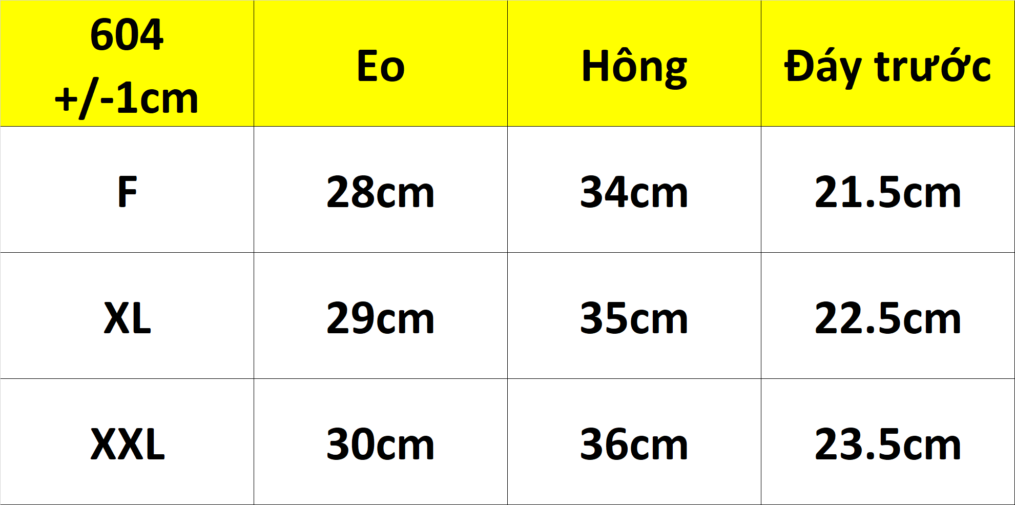 Combo 5 Quần Lót Nữ Su Đúc Trơn Sister Hood Thái Lan 604 – Siêu Mát, Siêu Ôm, Không Viền