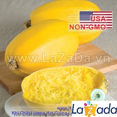 50GR 300.HẠT Hạt Giống Bí Sợi Mì Ý Spaghetti (| C38A*W44)